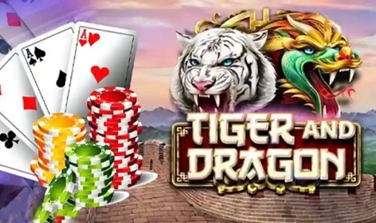 Dragon Tiger Nova88